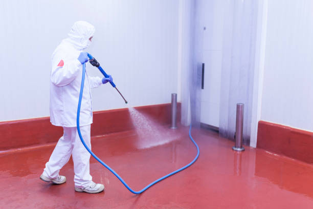 Best Sidewalk and Walkway Cleaning  in Chippewa Falls, WI